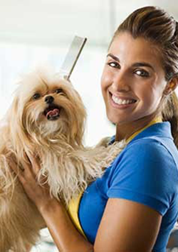 Tcnico en animales de compana