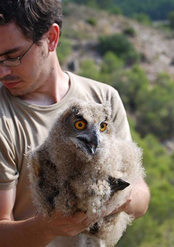 Tcnico en animales silvestres