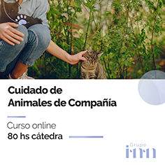 Curso online Cuidado de animales de compaia