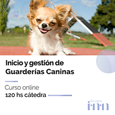 Curso online Inicio y gestion de Guarderas Caninas