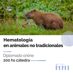 Diplomado online en hematologa en animales no tradicionales