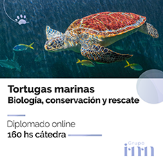 Diplomado - Rescate tortugas