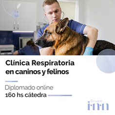 Diplomado online en Clnica Respiratoria veterinaria