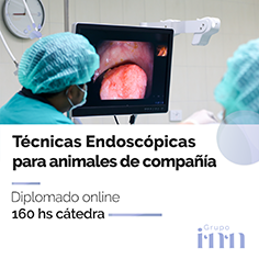 Diplomado online en tcnicas endoscopicas veterinarias