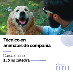 Curso online Tcnico en animales de compaia